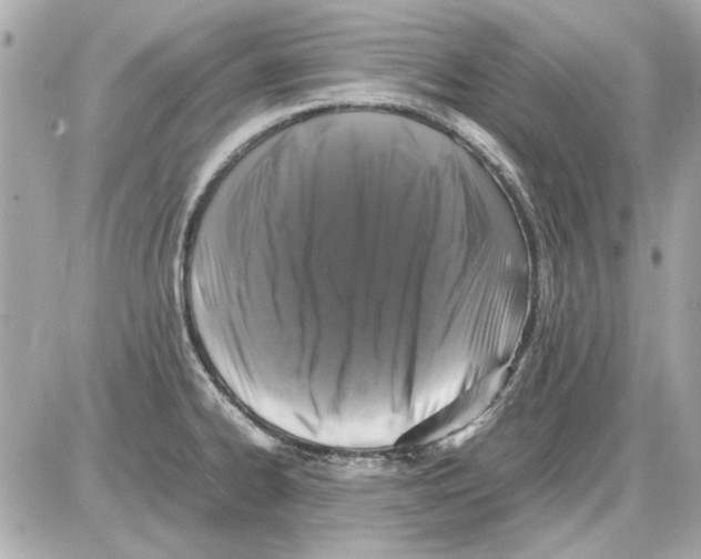 X0000085311334200704092313