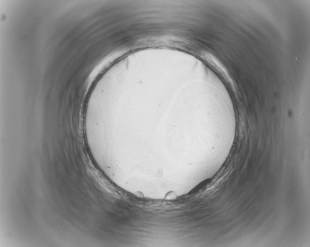 X0000085311336200704092313