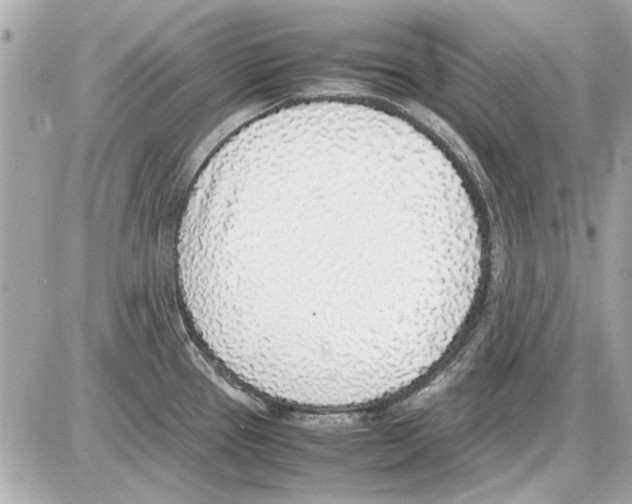 X0000085311337200704092313