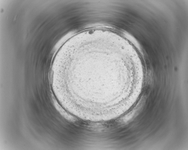 X0000085311338200704092313