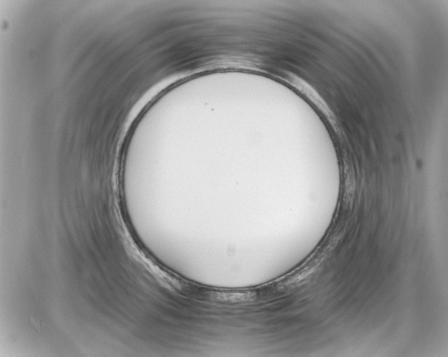 X0000085311339200704092313