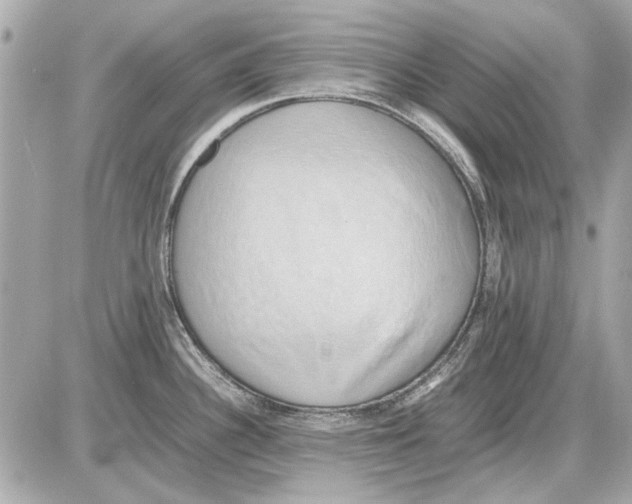 X0000085311340200704092313