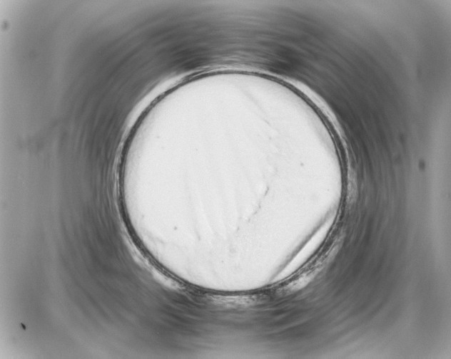 X0000085311341200704092313