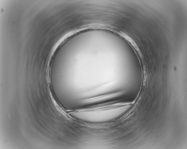 X0000085311342200704092313