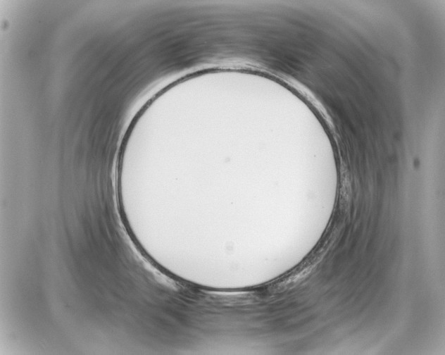 X0000085311343200704092313