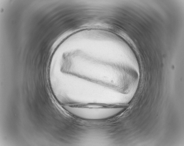 X0000085311344200704092313