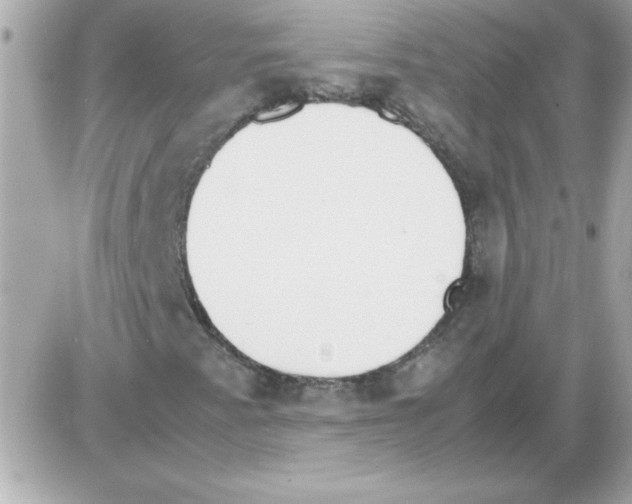 X0000085311345200704092313