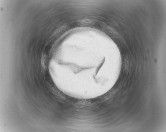 X0000085311346200704092313