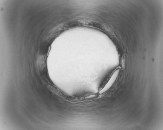 X0000085311347200704092313