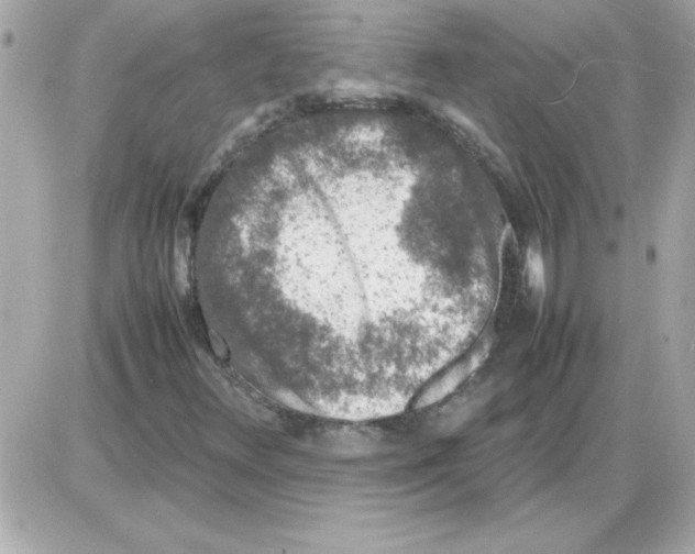 X0000085311348200704092313