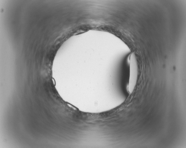 X0000085311349200704092313