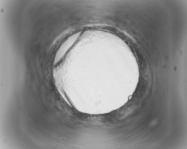 X0000085311351200704092312