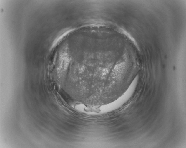 X0000085311352200704092312