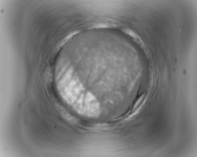 X0000085311353200704092312