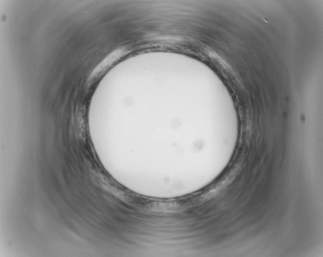 X0000085311354200704092312