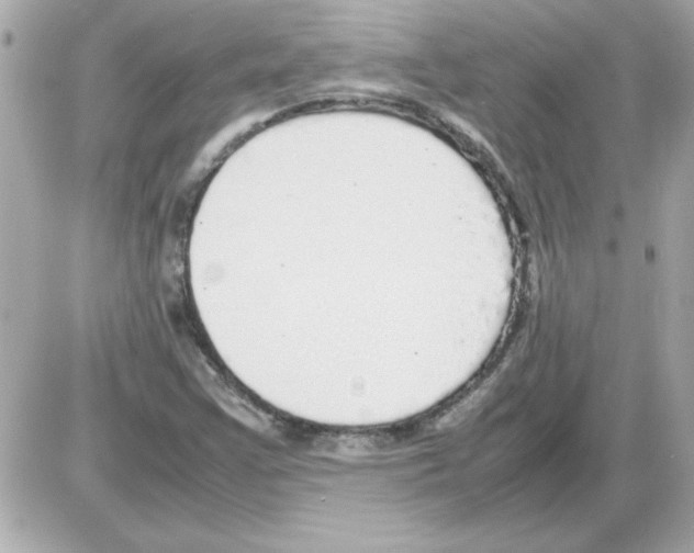 X0000085311355200704092312