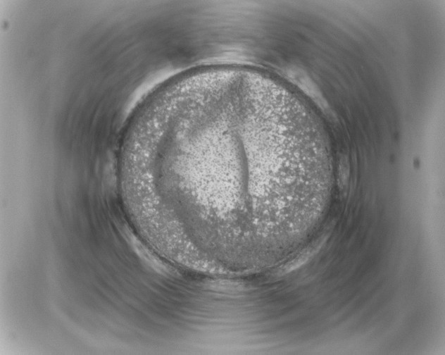 X0000085311356200704092312