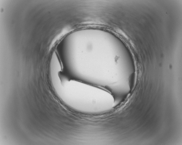 X0000085311357200704092312