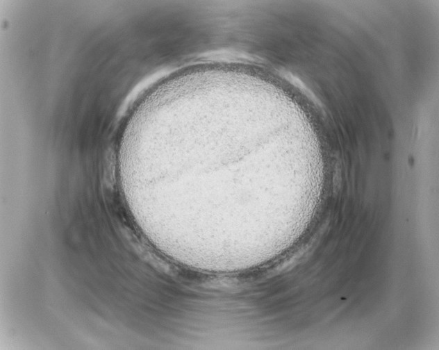 X0000085311358200704092312