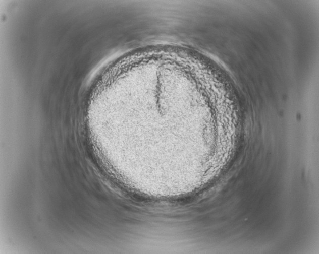 X0000085311359200704092312