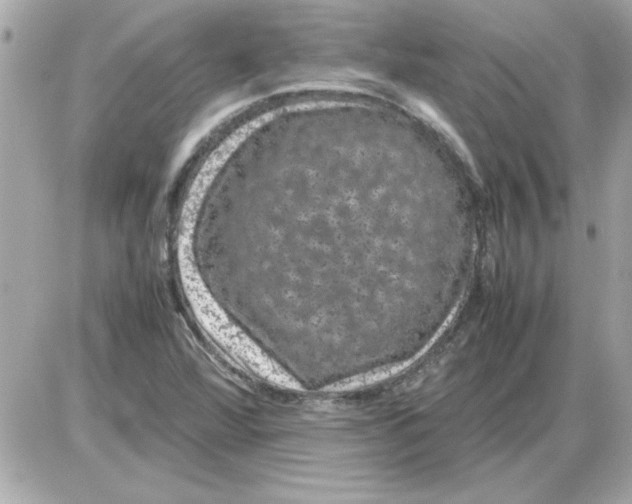 X0000085311360200704092312