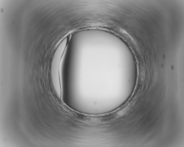 X0000085311361200704092312