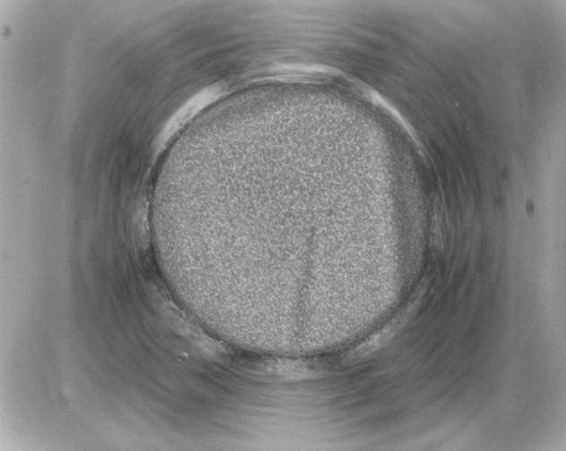 X0000085311362200704092312