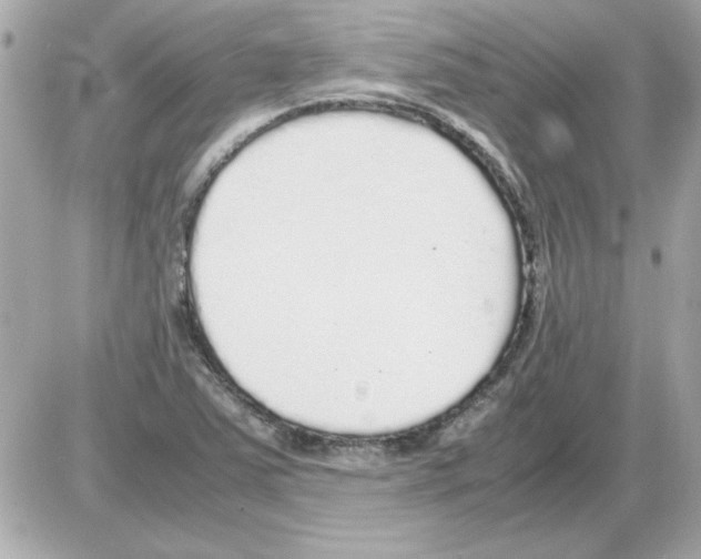 X0000085311363200704092312