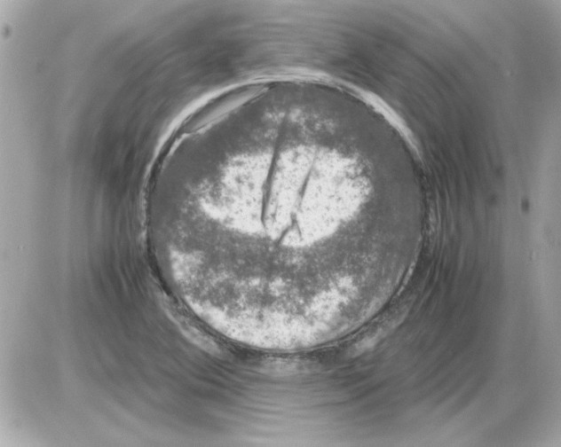 X0000085311364200704092312