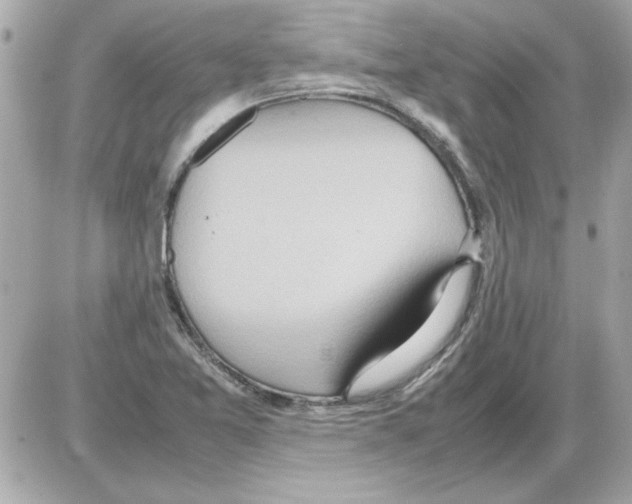 X0000085311365200704092312