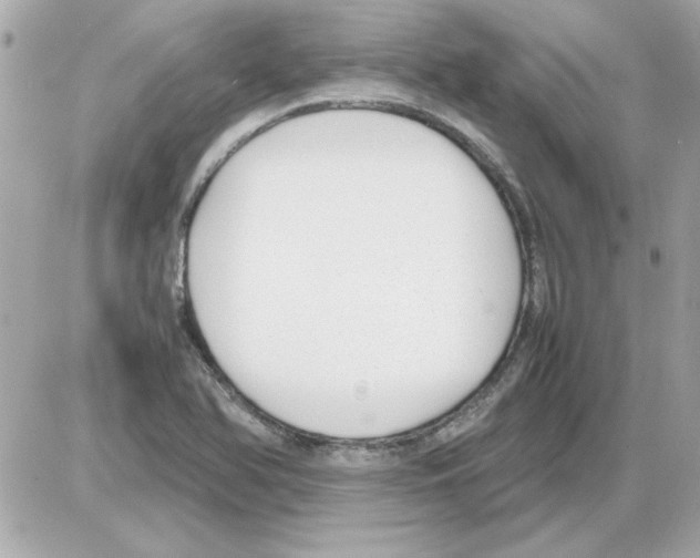 X0000085311366200704092312