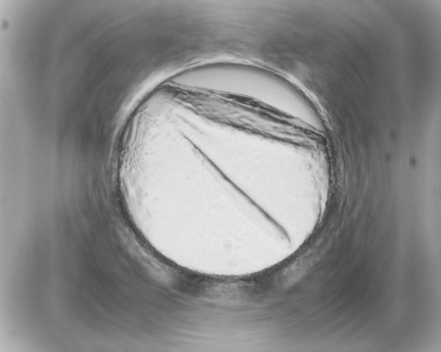 X0000085311367200704092312