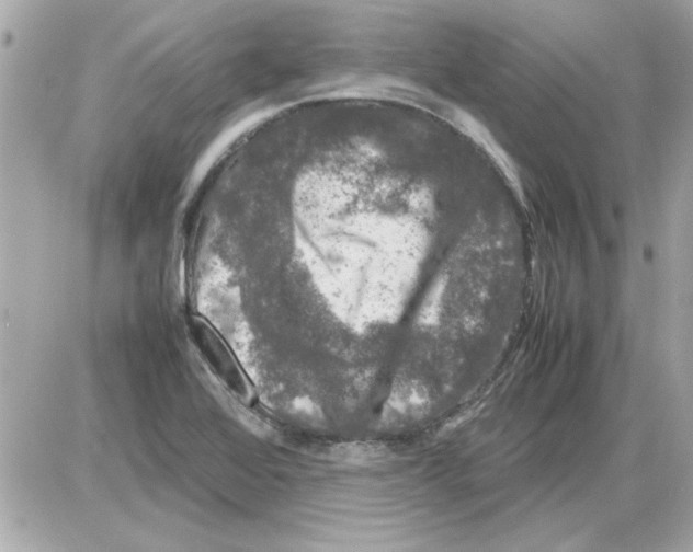 X0000085311368200704092312