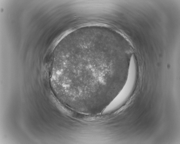 X0000085311369200704092312