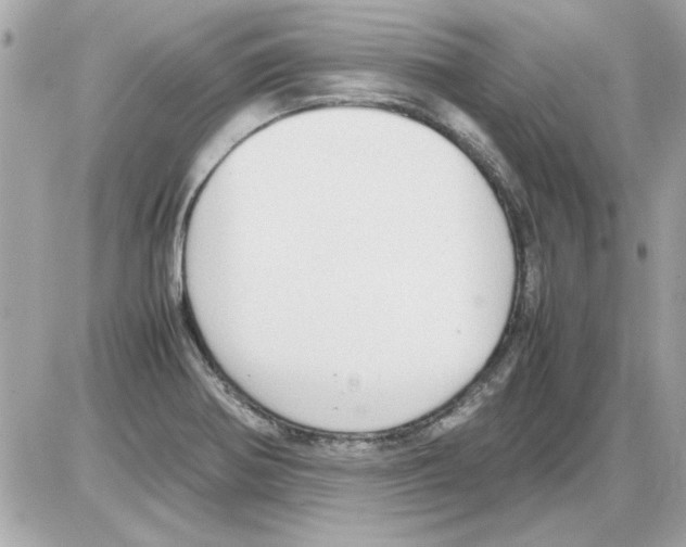 X0000085311370200704092312