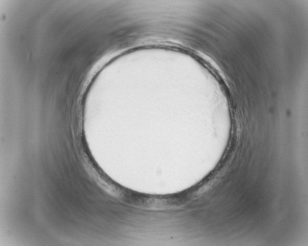 X0000085311371200704092312