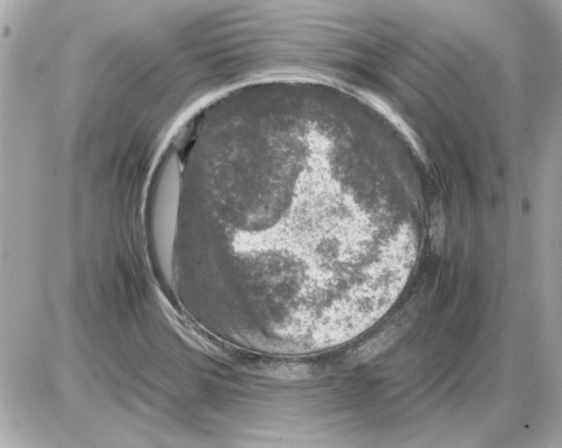 X0000085311372200704092312