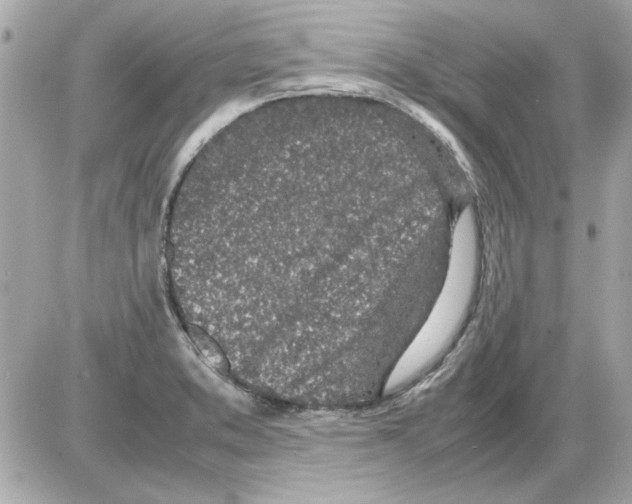 X0000085311373200704092312