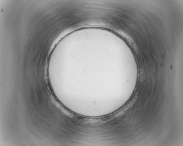 X0000085311374200704092312