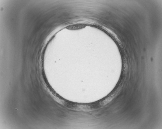 X0000085311375200704092312