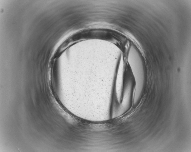 X0000085311376200704092312