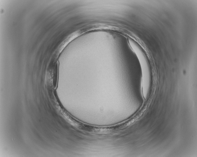 X0000085311377200704092312