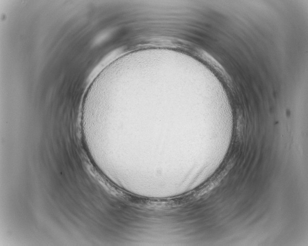 X0000085311378200704092312