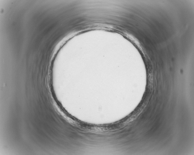 X0000085311379200704092312