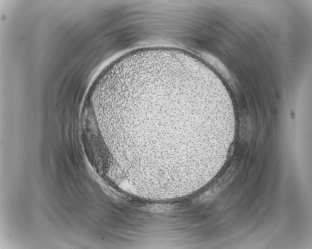 X0000085311380200704092312