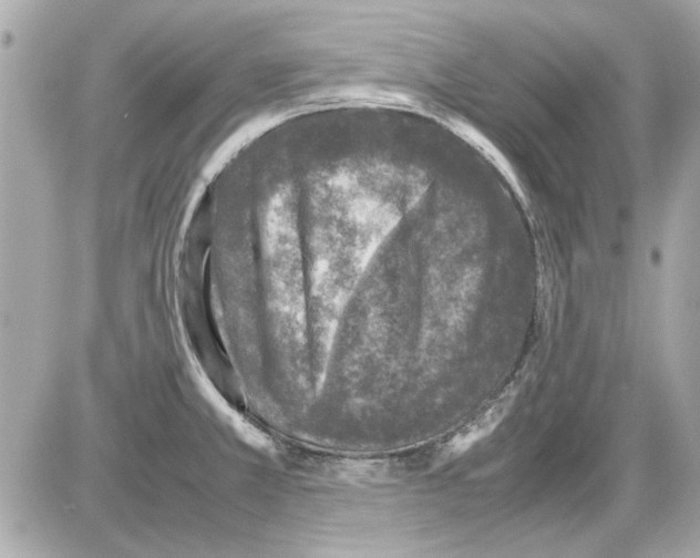 X0000085311381200704092312