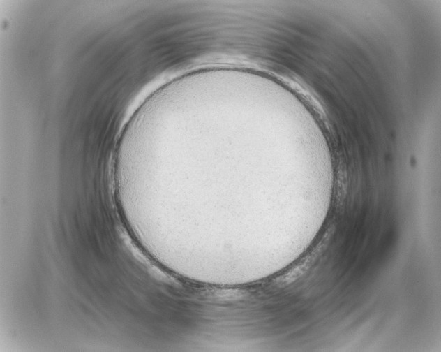 X0000085311382200704092312