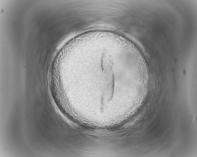 X0000085311383200704092312