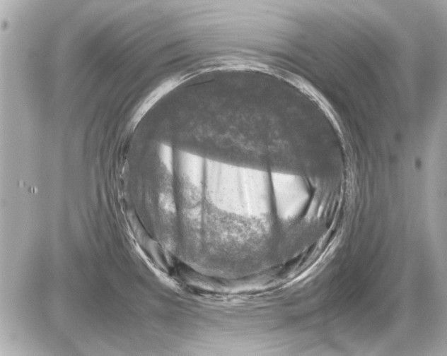 X0000085311385200704092312