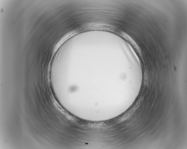 X0000085311386200704092312